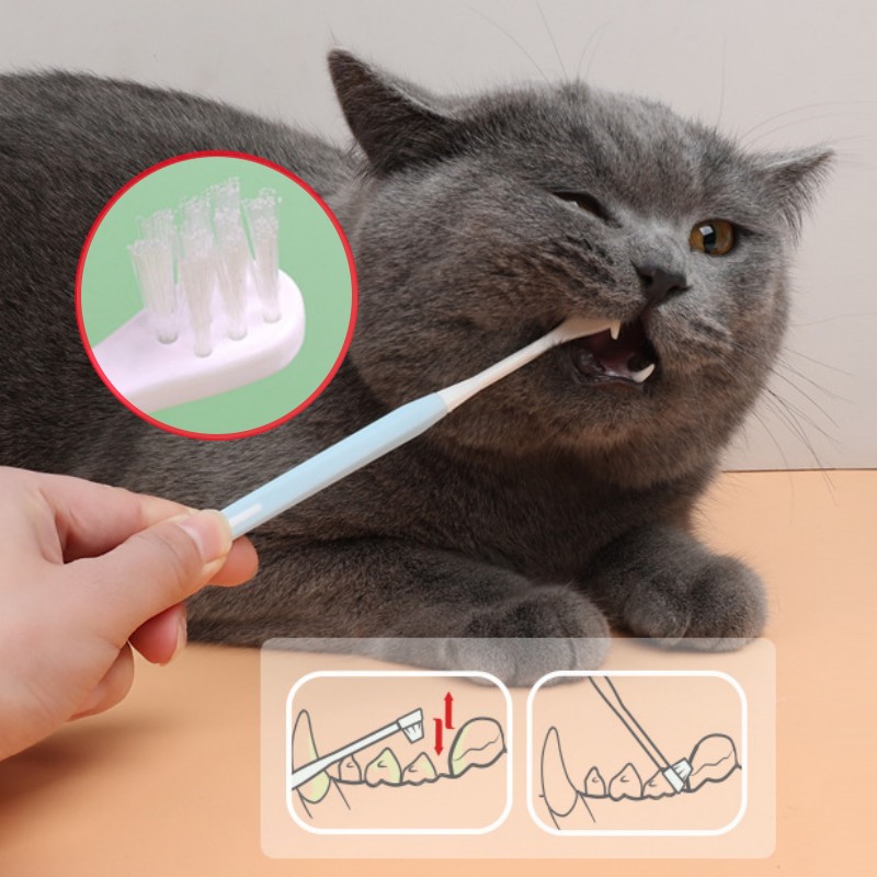 Pet Toothbrush Set Small Head  - Hair Care Routine recension och pris